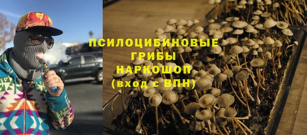 СК Нефтекумск