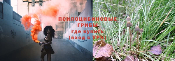 не бодяженный Билибино