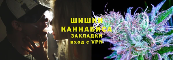 стаф Богородск