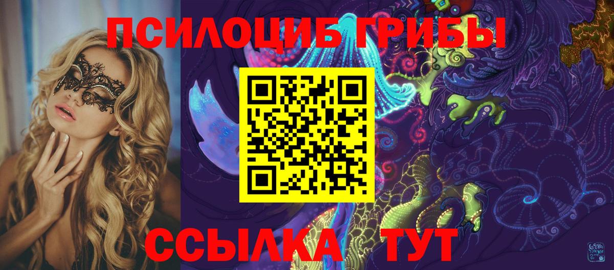 Кимры  Псилоцибиновые грибы GOLDEN TEACHER  Галлюциногенные грибы мухоморы  Вход с VPN 
